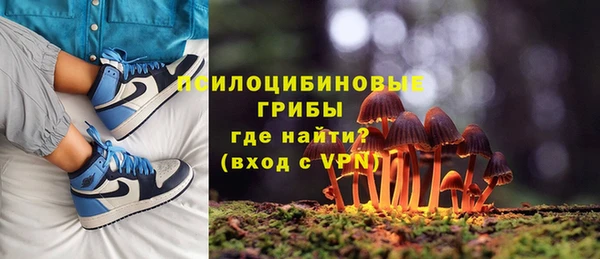 тгк Алексин