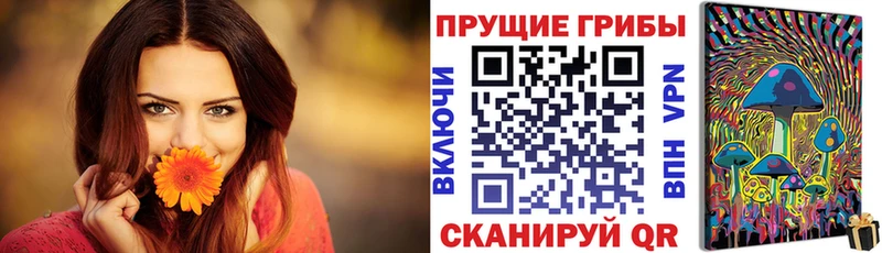 цена наркотик  Кола  Псилоцибиновые грибы ЛСД 