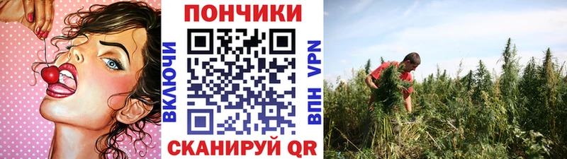 Бошки Шишки гибрид  Кола 
